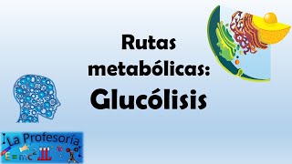 Rutas metabólicas Glucólisis [upl. by Eydnarb]