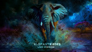 ELEFANTE 2023 Live Session Show completo [upl. by Taylor]