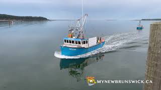 Seal Cove Wharf Grand Manan [upl. by Alesram]