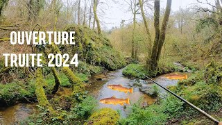 DE NOMBREUSES TRUITES SE CACHENT DANS CETTE FORÊT  OUVERTURE 2024 [upl. by Faunie]