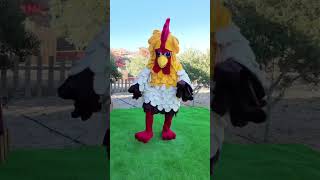 El gallo Bartolito para eventos infantiles en Tenerife cantajuego payasos dulcylín tenerife [upl. by Holland534]