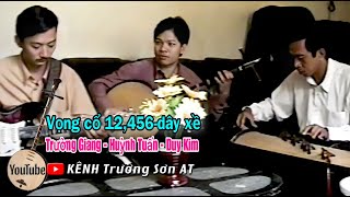 Hòa tấu vọng cổ 12456dây xề  Ns Trường Giang NS Huỳnh Tuấn NS Duy Kim [upl. by Nnairb]