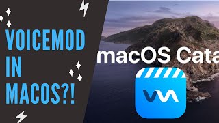 Voicemod on MacOS Works  Windows App on Catalina 1015 to Use w OBSSLOBSDiscord [upl. by Uah]