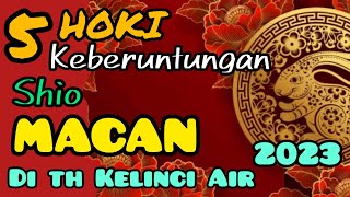 5 HOKI SHIO MACAN di tahun KELINCI Air  ELEMEN AIR th 2023  IMLEK 2575 [upl. by Acinoreb]