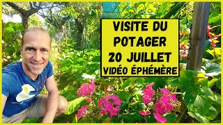 Visite du potager  20 juillet 2021 [upl. by Heyes]