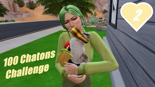 100 Chatons Challenge  02 Nos premières naissances de chatons  Sims 4 [upl. by Yrrat]