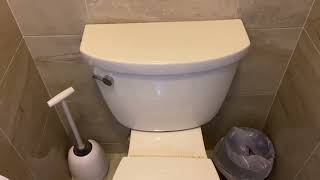 How to Repair and Rebuild a Running Kohler Toilet with Bad Fill Valve and Canister Seal [upl. by Ijok684]