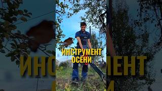 ТОП ИНСТРУМЕНТ ОСЕНИ shorts инструмент айгер [upl. by Coben]