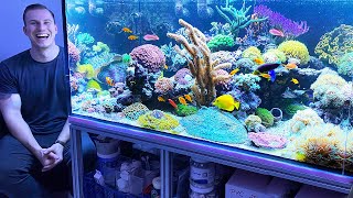 THE BEST REEF TANKS  2020 Review saltwater aquarium coral [upl. by Gram]