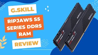 GSKILL Ripjaws S5 Series Intel XMP 30 DDR5 RAM 32GB Review [upl. by Hasina]