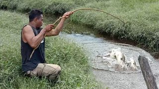 REKOR MANCING PALING AMBYAR JORAN NYARIS PATAH NARIK GABUS MONSTER MAS BROO [upl. by Nylkoorb]