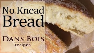 SUPER EASY Bread  No Knead Dutch Oven Bread [upl. by Naahs]