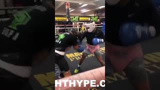 Gervonta Davis COMPLETELY ANNIHILATES Sparring Partner [upl. by Neural482]