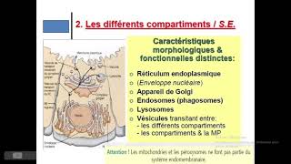 Biologie cellulaire  la cellule procaryote  première année biologie  médecine  pharmacie [upl. by Ellinej]