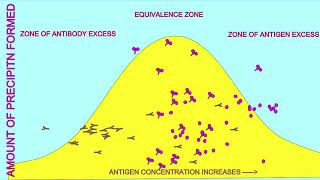 zone of equivalence [upl. by Anitahs]