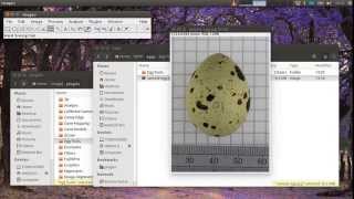 Egg shape volume and surface area calculation tool [upl. by Holcman424]