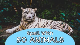 Animals for Kids to Learn Spelling 50 animals [upl. by Lacram]