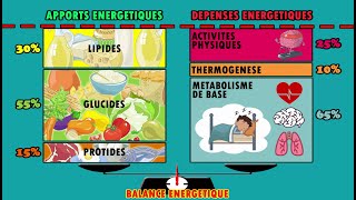 🍔BALANCE ENERGETIQUE et METABOLISME DE BASE 💙 [upl. by Artimed]