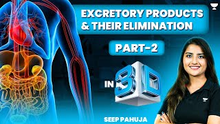 Excretory Products and Their Elimination in 3D  Part  2  NEET 2024  Seep Pahuja [upl. by Hadleigh]