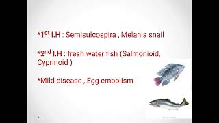 Metagonimus yokogawai ampEchinostoma ilocanum amp Gastrodiscoides hominis  Intestinal trematode [upl. by Livvyy487]