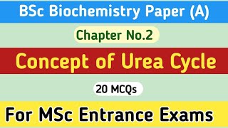 MCQs on Urea Cycle  BSc Biochemistry  School of Biology [upl. by Dib]