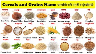 cereals and grains name in english and marathi with pictures  धान्यांची नावे मराठी व इंग्रजी [upl. by Hercule]