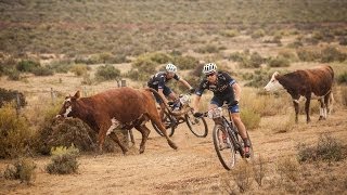 Absa Cape Epic 2014  Stage 1  Highlights Clip [upl. by Klein491]