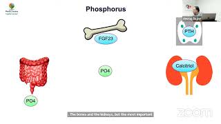 MedEClasses Postgraduate Pediatric Endocrinology Lecture Rickets [upl. by Elmaleh]