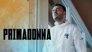 Ardian Bujupi  PRIMADONNA Official Video [upl. by Iturhs279]