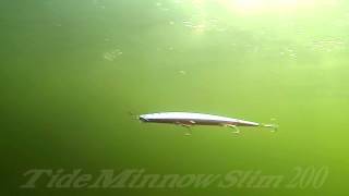 DUOs Lures in Motion 14 Tide Minnow Slim 200 [upl. by Jan812]