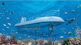 Atlantis Submarines Aruba  De Palm Tours [upl. by Bravin]