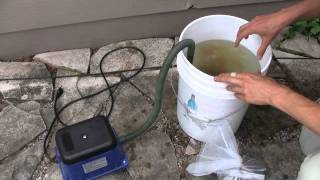 Brewing Compost Tea  Some Important Tips For Success [upl. by Richelle]