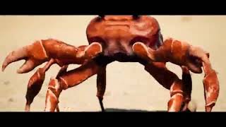 crabs dancing to zeze [upl. by Philander518]