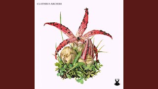 Clathrus Archeri [upl. by Fernandes]