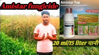 Syngenta Amistar fungicide ll Amistar Top fungicide Most powerfull fungicide [upl. by Aillicsirp]