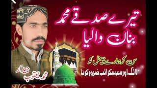 Tarey Sadqey Muhammad Banorn Walyan Kalam Ahmad Ali Hakim M Yaqoob Jeedar 2024 [upl. by Nenerb]