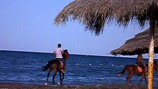 Plage Djerba   Beach Jerba [upl. by Assirec781]