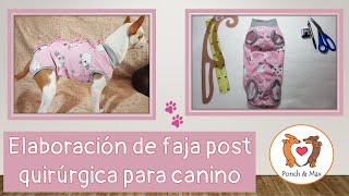 DIY 🐶 Elaboración de faja post quirúrgica para caninos📌 🥰 Ropa para perros y mascotas ❤❤❤ [upl. by Sert]