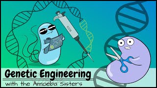 Genetic Engineering [upl. by Bondie]