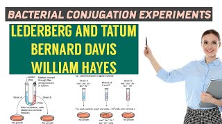 BACTERIAL CONJUGATION \ DETAILS OF EXPERIMENTS\LEDERBERG AND TATUM\BERNERD DAVIS\WILLIAN HAYES [upl. by Sievert195]