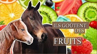 ILS GOÛTENT DES FRUITS   Qui sera le moins difficile [upl. by Lachish166]