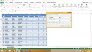 Excel 2013  Dataanalyse  18 Filteren met functies [upl. by Anigroeg936]