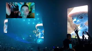 The Spectre  Alan Walker amp Blue Smurf Cat Concert  WalkerVerse 2023 [upl. by Ettinger260]