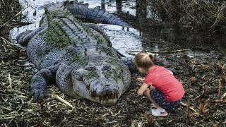 OS MAIORES CROCODILOS DO MUNDO CURIOSIDADES [upl. by Akinihs209]