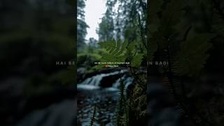 Baarish Lyrics  Yaariyan  Rain Video 🌧️  Nature Status  Love Song shorts [upl. by Mcwherter]