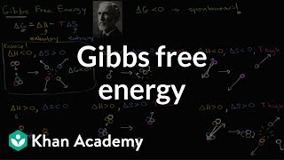 Gibbs free energy and spontaneous reactions  Biology  Khan Academy [upl. by Olney]