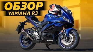 ОБЗОР Yamaha R3  Прожиточный минимум [upl. by Consuela]