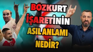 BİR BOZKURT TÜM AVRUPAYA NEDEN KORKU SALDI  Ahmet Anapalı [upl. by Eixor172]