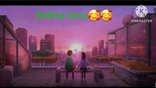 Dekha tenu pahli pahli bar ve 🤩full song 😘 [upl. by Oicnerual]