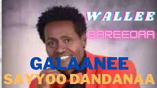 Sayyoo Dandanaa  Galaanee Warra Galaanii  Oromo Music [upl. by Rahcir]